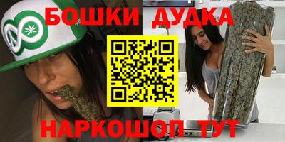 крисы Будённовск