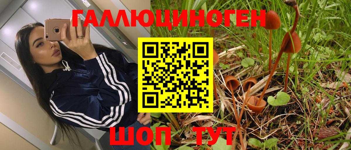 хочу наркоту  Галлюциногенные грибы Magic Shrooms  Вход с VPN  Самара 